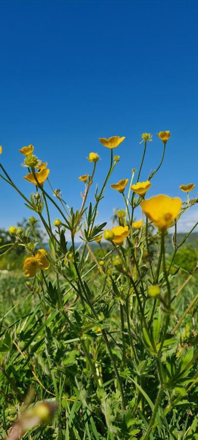 Hebergements Insolites - Detente En Luberon Viens Exteriér fotografie